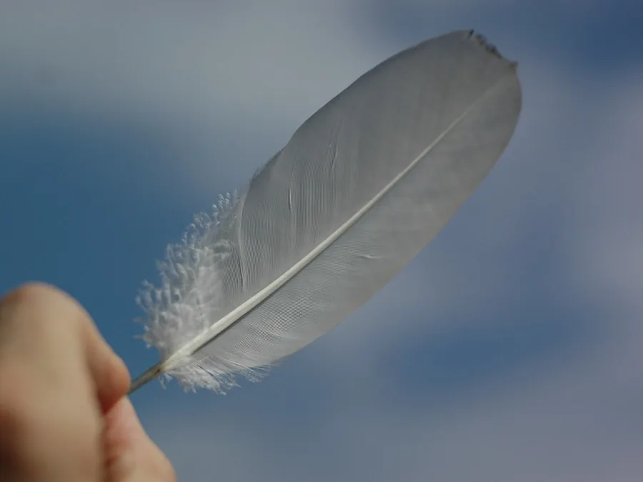 Une plume blanche tenue entre deux doigts, sur un ciel clair